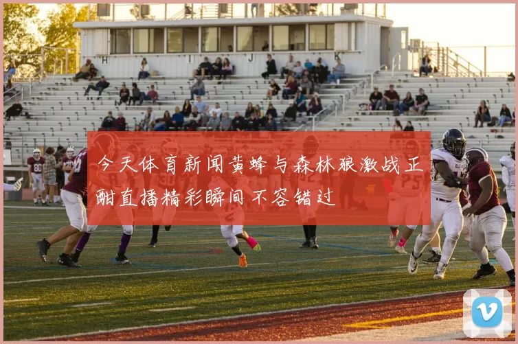 今天体育新闻黄蜂与森林狼激战正酣直播精彩瞬间不容错过